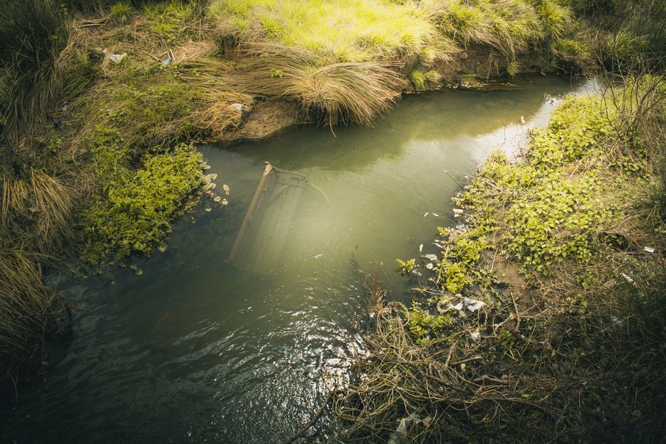 A small, shallow river or stream running through a natural landscape with grassy and bushy vegetation along its banks. In the center of the water, partially submerged, is a corrugated metal sheet or panel, likely part of discarded debris. The surrounding foliage includes green shrubs, tall grasses, and some leafless branches, indicating a wild or unmanaged outdoor area. The water appears slightly murky with a greenish hue, reflecting the sky and nearby plants. Sunlight filters through the greenery, creating patches of light and shadow on the surface. The scene suggests an area prone to illegal dumping or unregulated waste disposal, aligning with the context of independent waste removal and rubbish clearance services performed by companies like Waste Collection Merton, particularly in settings where rubbish and debris are cleared from natural or private land environments.