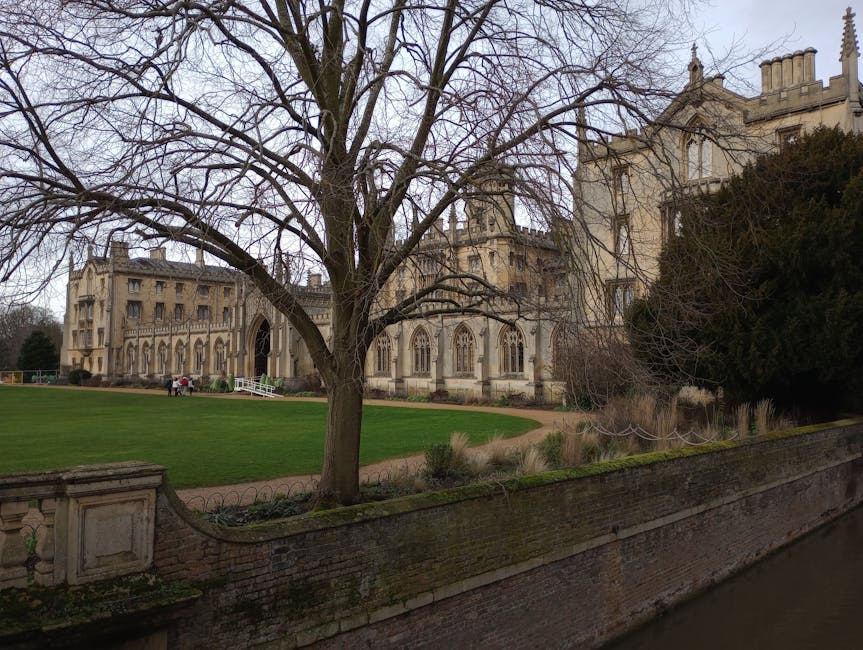 A narrow, slightly curved street is flanked by historic stone buildings on either side, with detailed, weathered facades typical of older architecture. On the left, the building features darkened stonework with visible window frames, some with small ledges, and signs of aging such as minor discoloration. The right side displays a large, intricate Gothic-style window with pointed arches and decorative stone tracery set into a weathered stone wall. In the background, a prominent Gothic church or cathedral dominates the scene, with tall, slender spires topped by finials, large arched windows, and detailed stone carvings, all made from beige-toned stone that shows signs of age. The church's tower rises above the surrounding buildings, with a parapet and pinnacles. The street appears to be quiet and empty, with a smooth paved surface and a low stone wall or curb along the base of the buildings. The sky overhead is partly cloudy with diffused daylight illuminating the scene evenly. The overall setting suggests an area of historical significance, where preservation of architectural detail is prominent, and it visually aligns with contexts of private or on-site waste management opting for discreet rubbish removal methods when compared to public refuse collection, hence supporting the relevance to services like those offered by Waste Collection Merton.